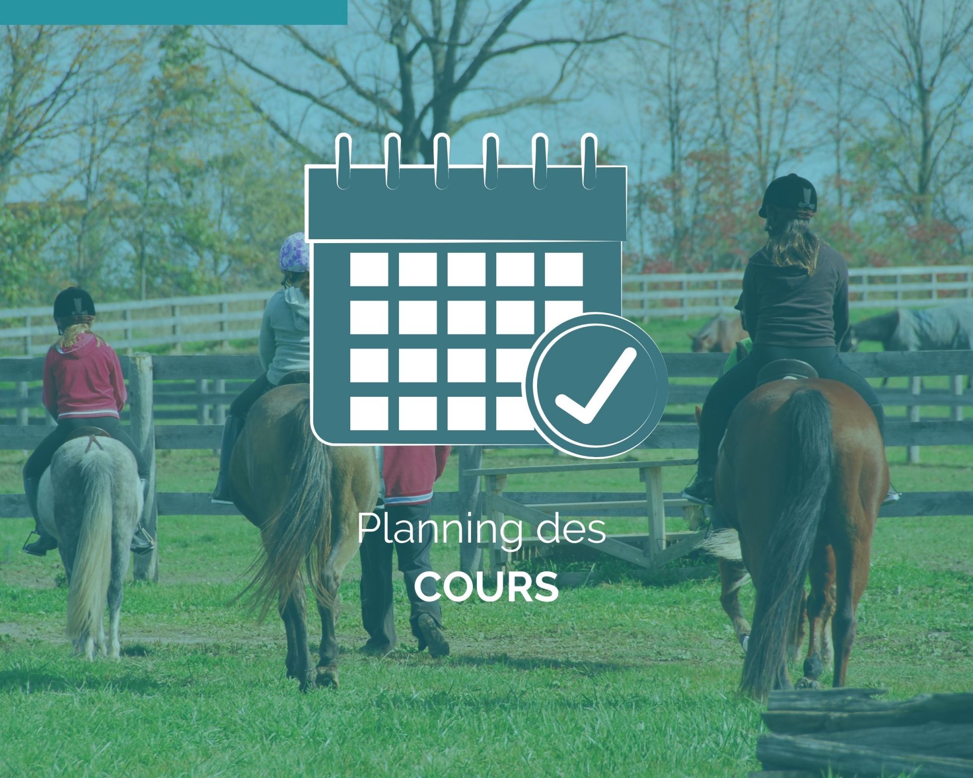 Planning des cours d'équitation