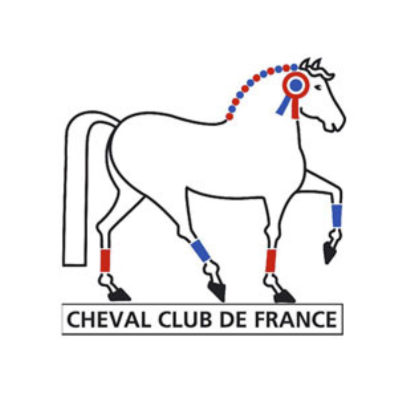 cheval club de france poney club de mornant