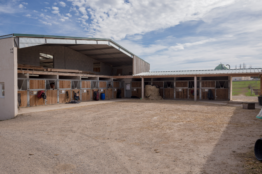 boxes pension poney cheval à mornant