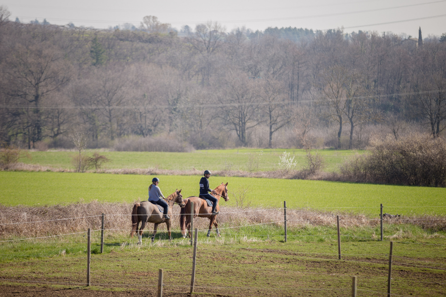 balade à poney à mornant