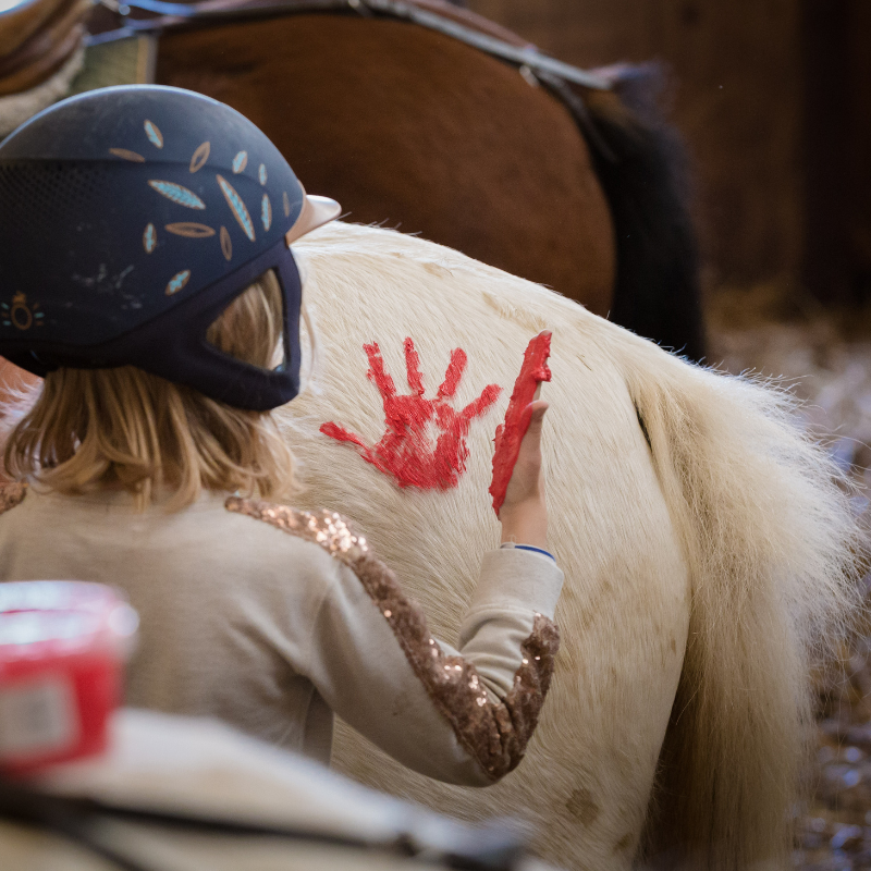 baby poney au club de mornant