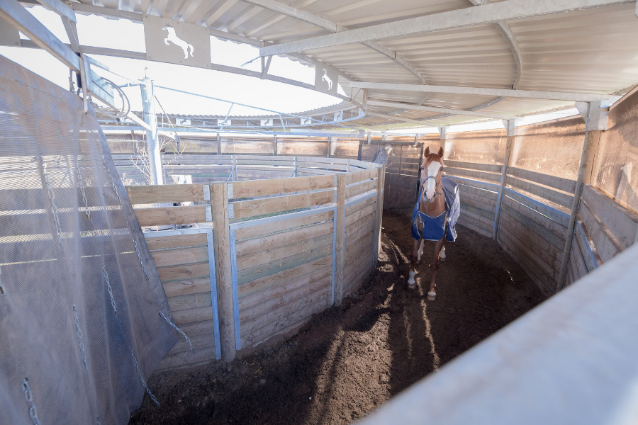 marcheur pour cheval et poney à mornant