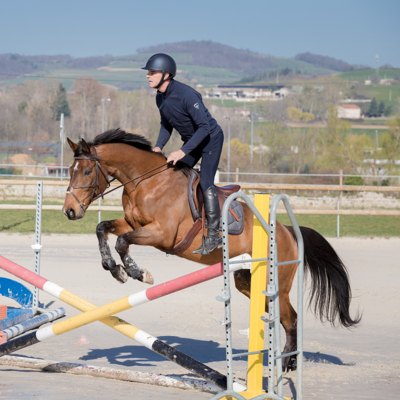 passage des galops poney club mornant