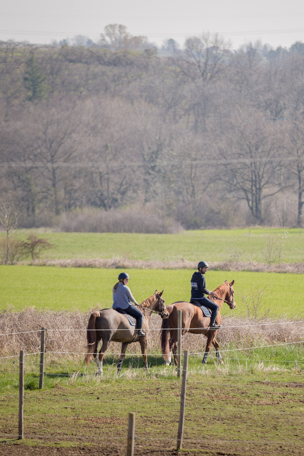 balade à cheval à mornant adulte et enfant