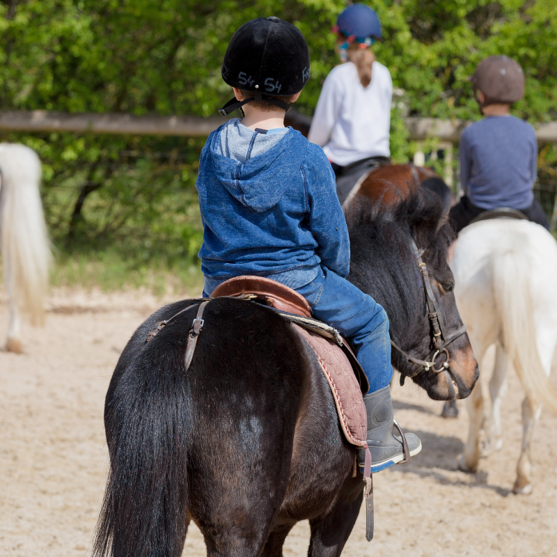 cours poney débutant à mornant