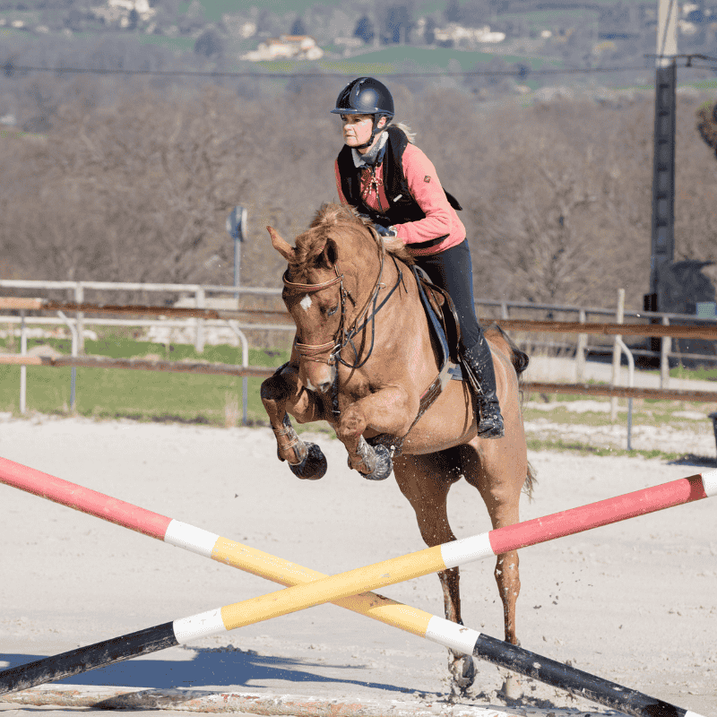 cours d'équitation adulte à mornant CSO