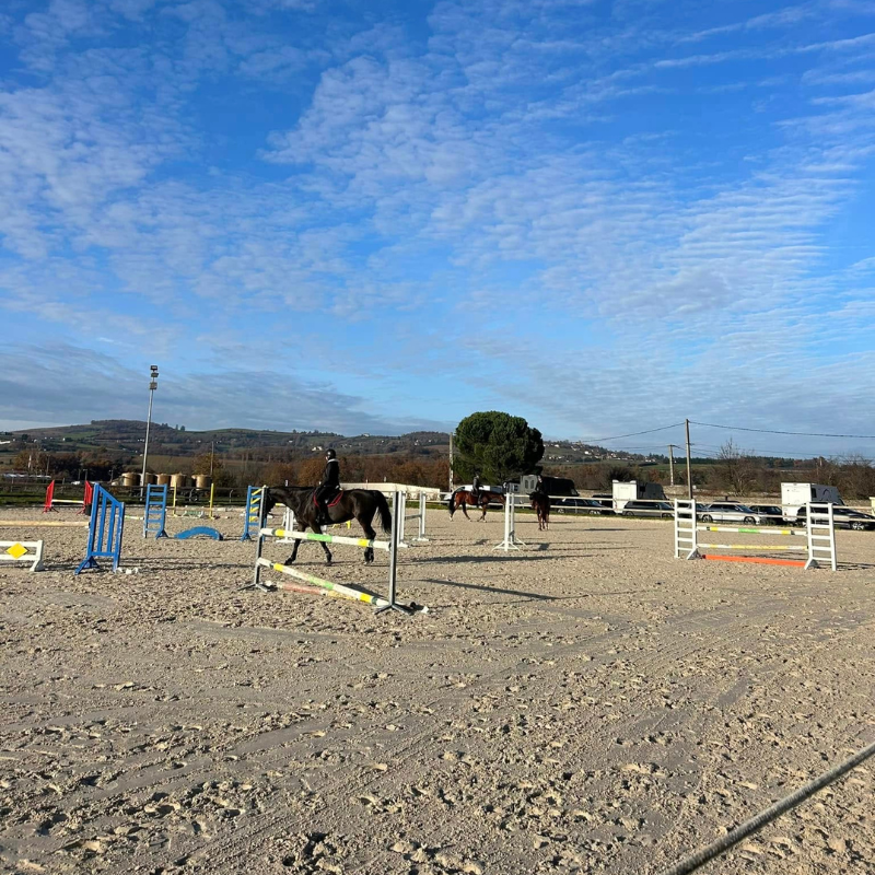 carrière d'équitation du poney club de mornant