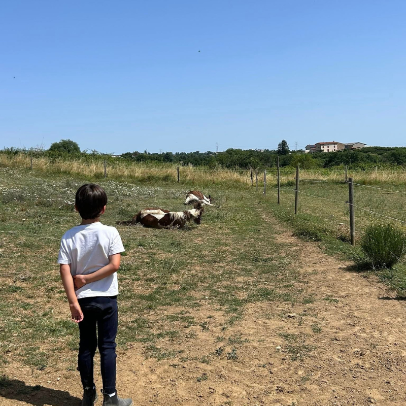 enfant avec poneys à Mornant