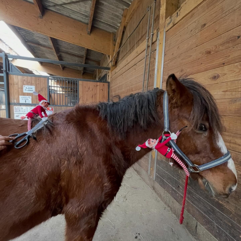 équitation enfant poney jeu chaponost