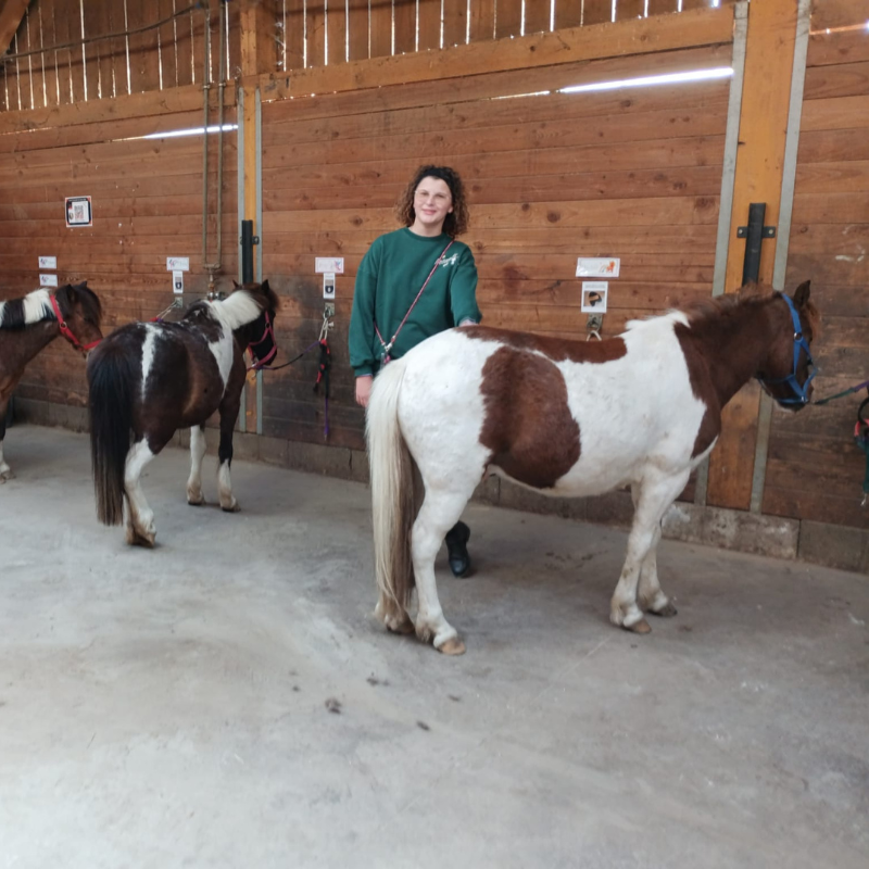 Aire de pansage en intérieure au poney club de mornant