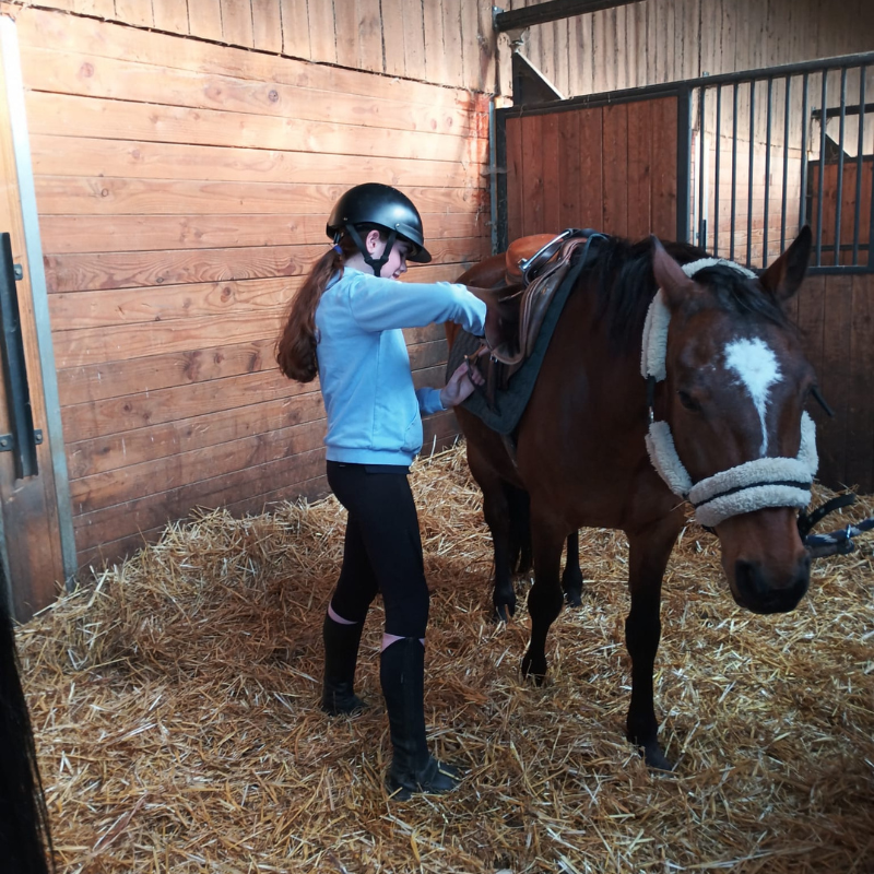 préparation poney par une cavalière
