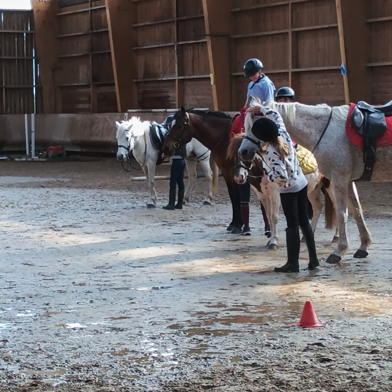 cours d'équitation débutant à mornant