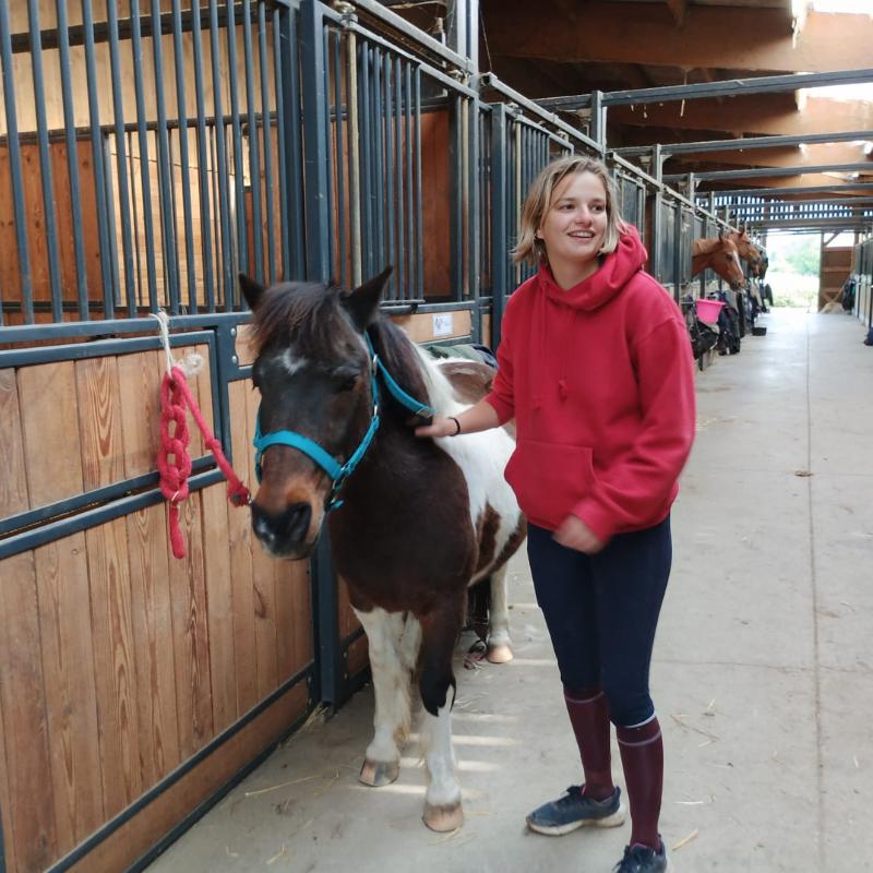 écuries de boxes au poney club de mornant